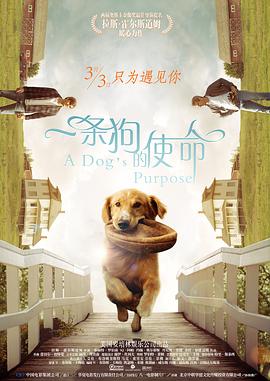 国产成人aaa在线视频免费观看